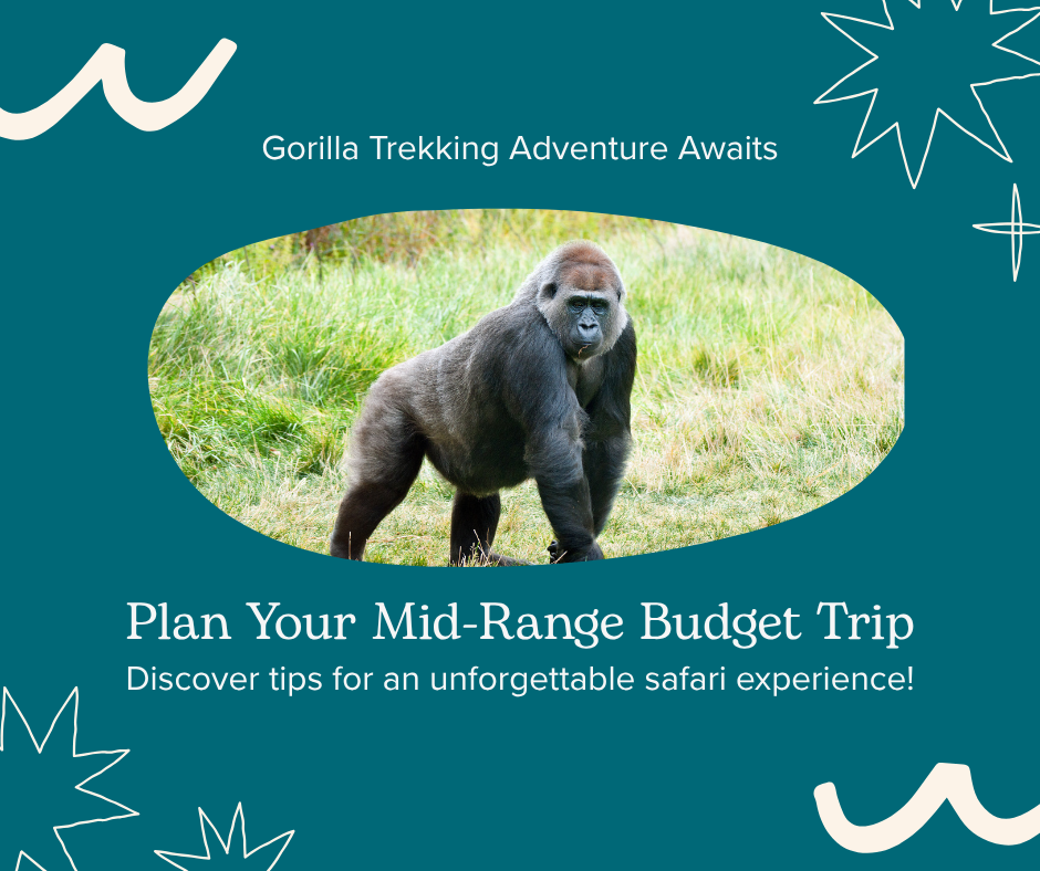 Rwanda Gorilla Trekking adventure!